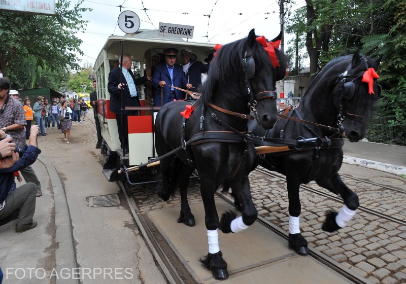 File:Ramvai tras de cai in București.jpg