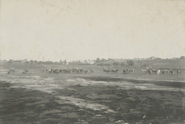 File:01-Câmpia Filaret înainte de organizarea expoziţiei jubiliare din 1906 iulie 1905.jpg