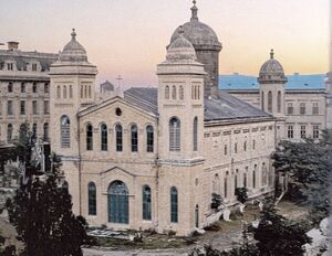 Al. Antoniu. Biserica văzută dinspre vest, 1896 C.jpg