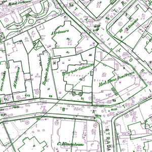 Batistei 33 0011.webp