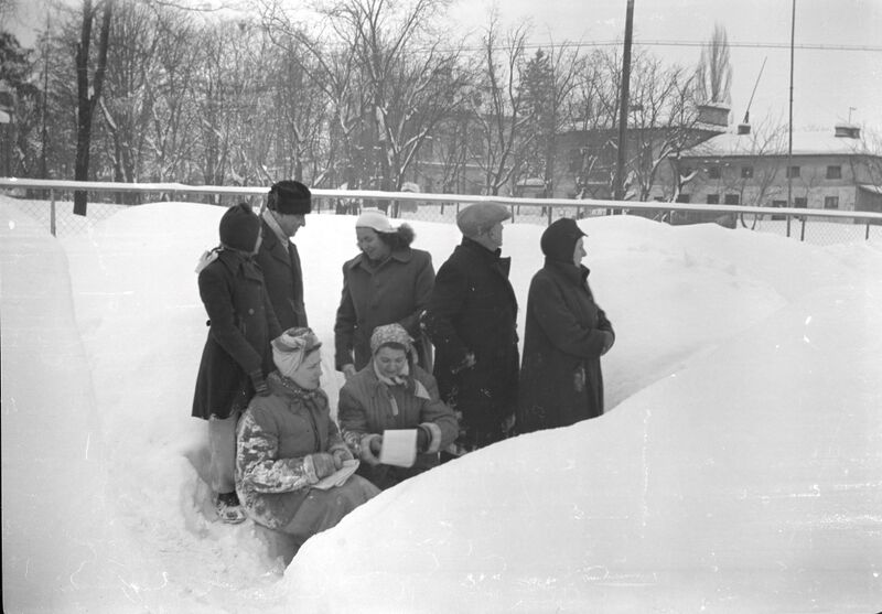 File:Parcului Carol - strada Cuțitul de Argint.februarie 1954 8.jpg