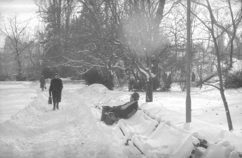 File:Parcul Cișmigiu din București, în februarie 1963 9.jpg