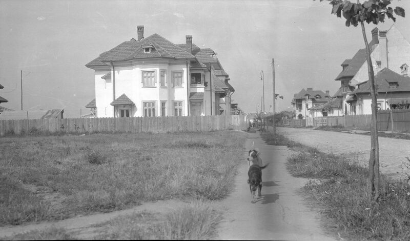 File:Vedere a Străzii C (ulterior Strada Aviator Petre Crețu) din parcelarea Domenii.jpg