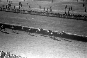 July 18, 1953 Iulie 18 Hipodromul Baneasa 006.jpg