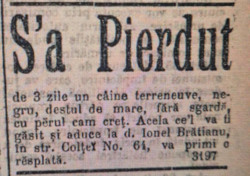 File:Str. Coltei 64. Ziar Universul din 29 ianuarie..jpg