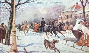 SOSEAUA KISELEFF iarna.jpg