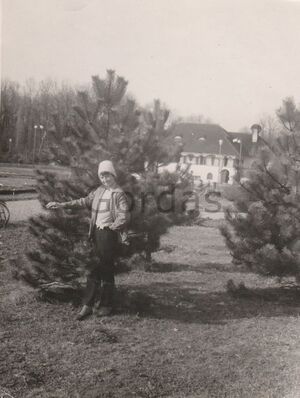 Restaurant Baneasa.jpg