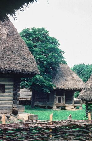 Joyce Pinsker bucharest 06.jpg