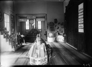 Standurile Uzinelor Electro-Mecanice S. A. din București (.jpg