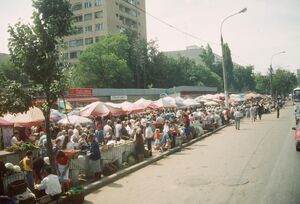 SIK 03-037184-Screen.jpg