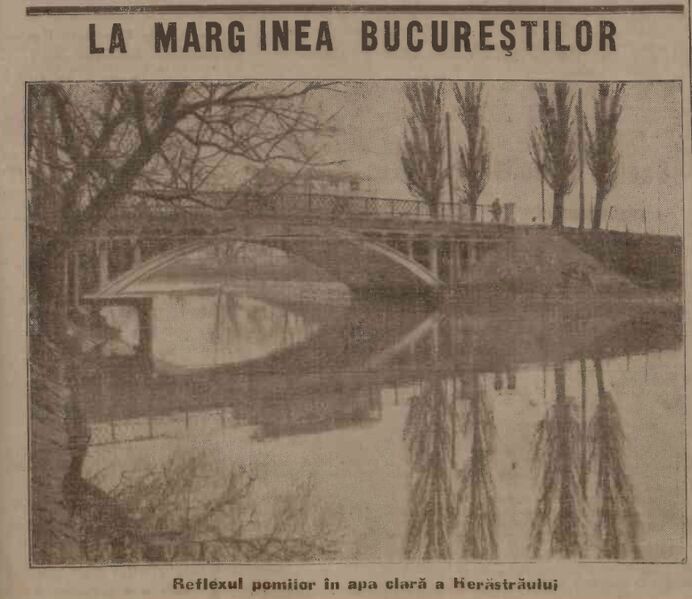File:Parcul Herastrau Adevărul, 51, nr. 16532, 19 decembrie 1937.jpg