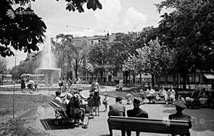 Parcul Izvorul Rece, 1954.jpg