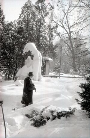 Parcul Cișmigiu din București, în februarie 1963 6.jpg
