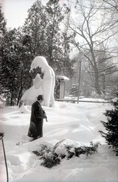 File:Parcul Cișmigiu din București, în februarie 1963 6.jpg