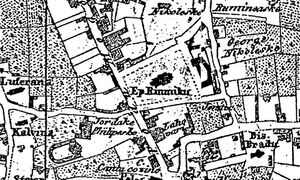 1852 Epiacopia ramnic.jpg