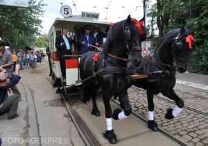 Ramvai tras de cai in București.jpg