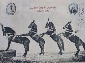 Circ Circus Zirkus Cesar Sidoli Cirque Royal 1898.jpg