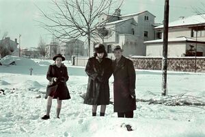 Parcelarea Jianu din București (actual Cartierul Primăverii) 1943 2.jpg