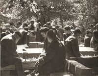 Cismigiu - coltul sahistilor