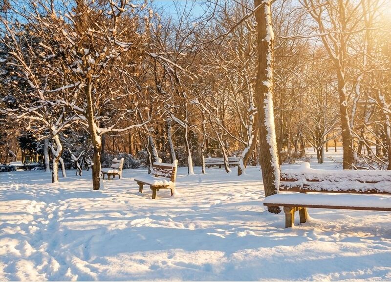 File:Șos. Kiseleff, 1937 c.jpg