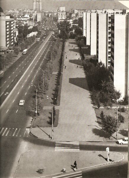 File:Blvd. Dimitrie Cantemir.jpg