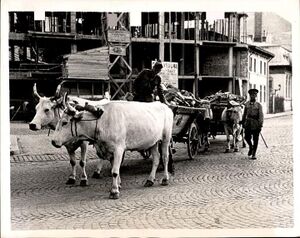 Strada Grigore Alexandrescu 8, cu Lascar Catargiu. 1939.jpg