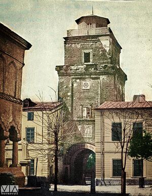 1867 CCarol Popp de Szathmari.jpeg