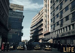 508845688 10224043054264742 4285822711309236128 n.jpg