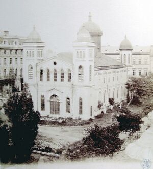 Al. Antoniu. Biserica văzută dinspre vest, 1896.jpg