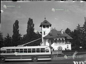 Vila Mina Minovici, 1951.jpg