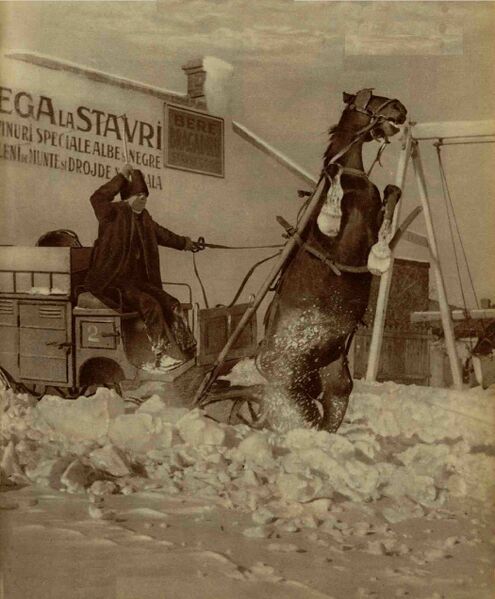 File:Bodega La Stavr strada Ştirbei Vodă 1931.jpg
