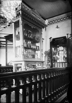 Vitrina Societății Anonime Române pentru Industrii Chimice 2.jpg