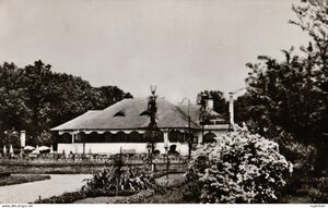 RESTAURANTUL PADUREA BANEASA 1960.jpg