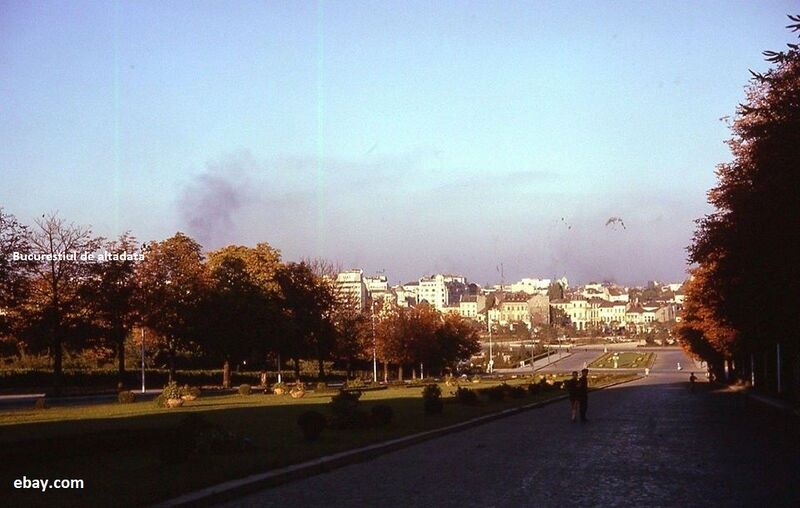 File:1962 Strada Patriarhiei (Aleea Dealul Mitropoliei) - 1962.jpg