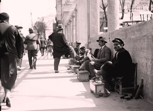 Bd. Elisabeta Shoeshine.jpg