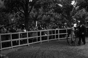 1941 Mai Hipodrom Baneasa 006.jpg