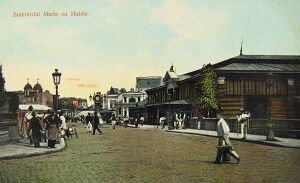 599080032 122287681730208569 4629183365326729788 n.jpg