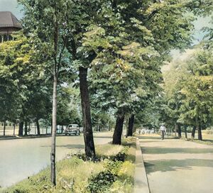 Sos. Kiseleff 1957.jpg