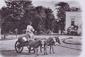 1870 Sacagiu-langa-pasajul-Vilacross 2x.jpg