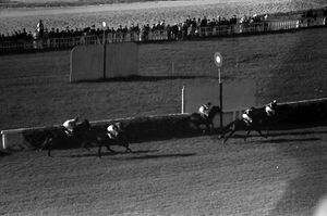 July 18, 1953 Iulie 18 Hipodromul Baneasa 007.jpg