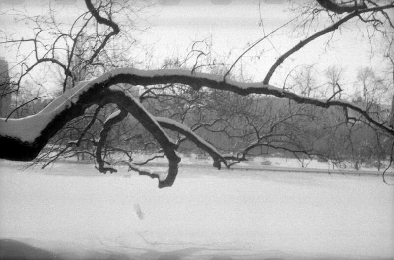 File:Parcul Cișmigiu din București, în februarie 1963 14.jpg