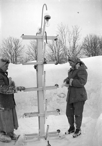 File:Parcului Carol - strada Cuțitul de Argint.februarie 1954 6.jpg