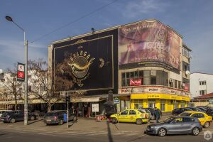 Cinema și Ateneu Vergu.jpg