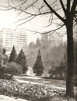 Cartierul Tonola.jpg