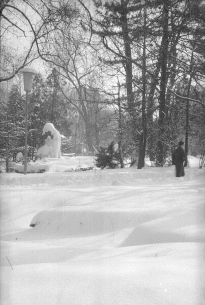 File:Parcul Cișmigiu din București, în februarie 1963 3.jpg