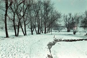 Parcul Bordei 1943 4.jpg