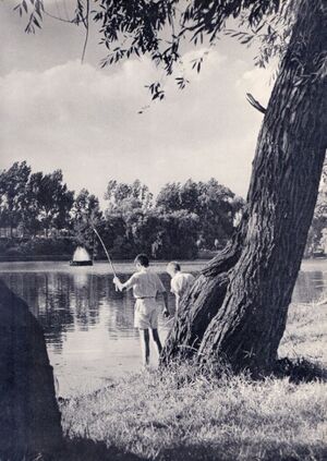 Lac Floreasca, 1957.jpg