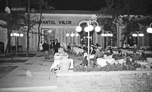 Restaurantul Viilor, 1953.jpg