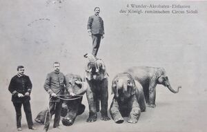 Circ Circus Zirkus Cesar Sidoli Cirque Royal 3 1898.jpg