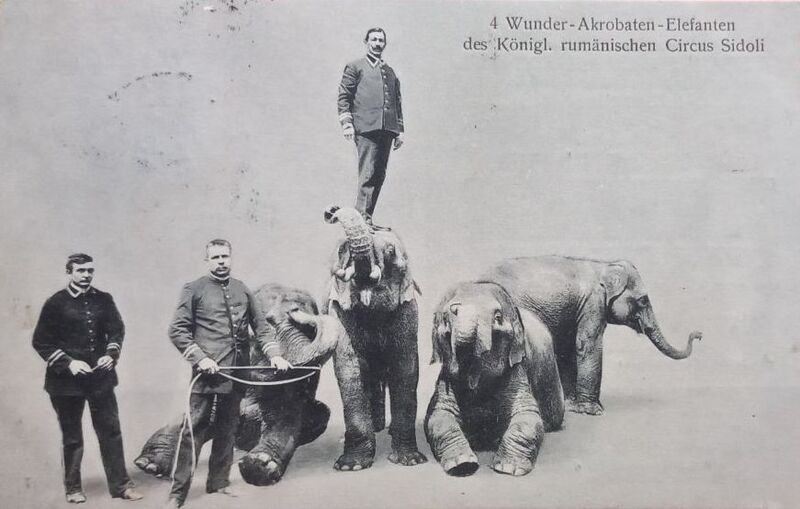 File:Circ Circus Zirkus Cesar Sidoli Cirque Royal 3 1898.jpg